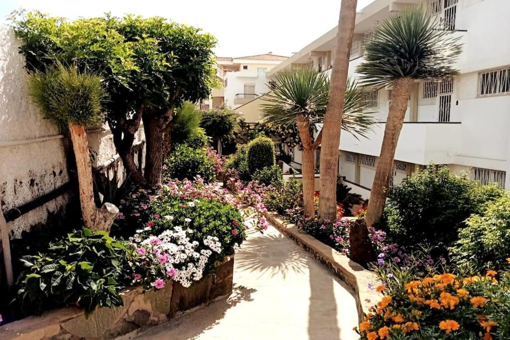 Apartment With Large Terrace, 10 Meters From Playa De Las Burras San Bartolomé Exteriör bild